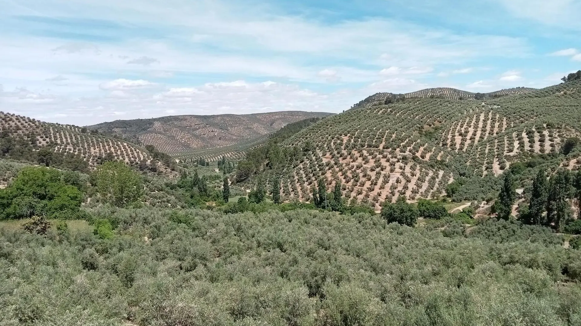 El Almendro De La Tia Teresa location